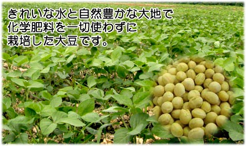 きれいな水と自然豊かな大地で化学肥料を一切使わずに栽培した大豆です。